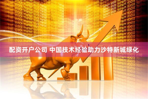 配资开户公司 中国技术经验助力沙特新城绿化
