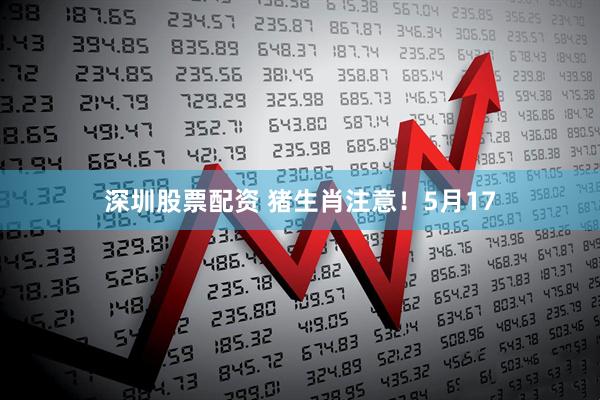 深圳股票配资 猪生肖注意！5月17
